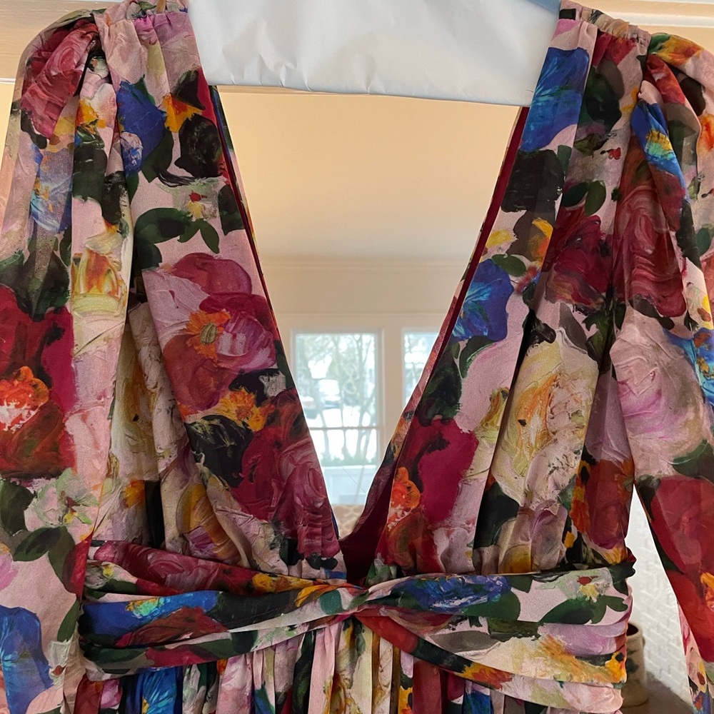 Ronny Kobo Carmella Dress - image 6